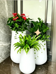 宁波绿植租赁选择-海曙绿化养护方案-宁波公司花卉出租-北仑绿化养护行业发展